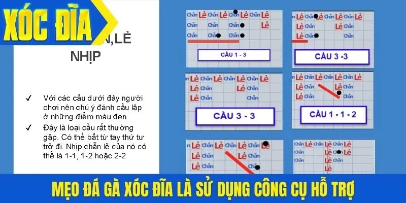 Mẹo đá gà xóc đĩa là sử dụng công cụ hỗ trợ