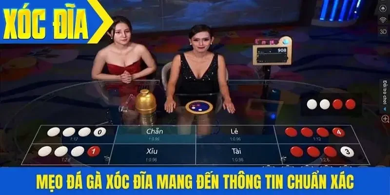 Mẹo đá gà xóc đĩa mang đến thông tin chuẩn xác