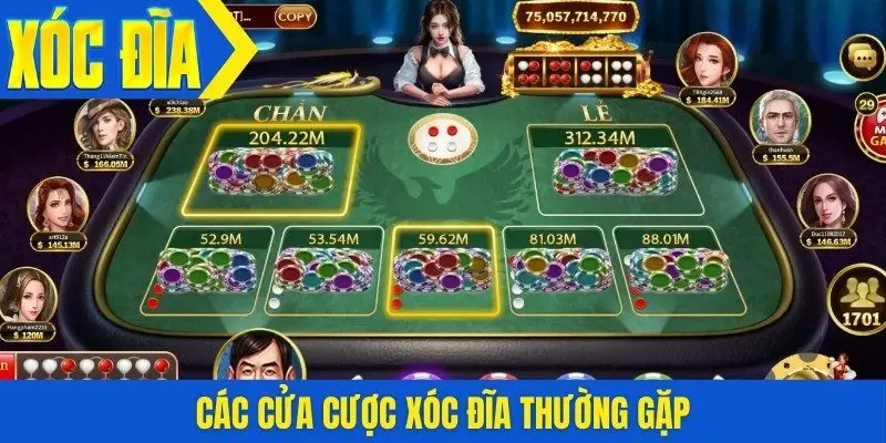 Các cửa cược xóc đĩa thường gặp