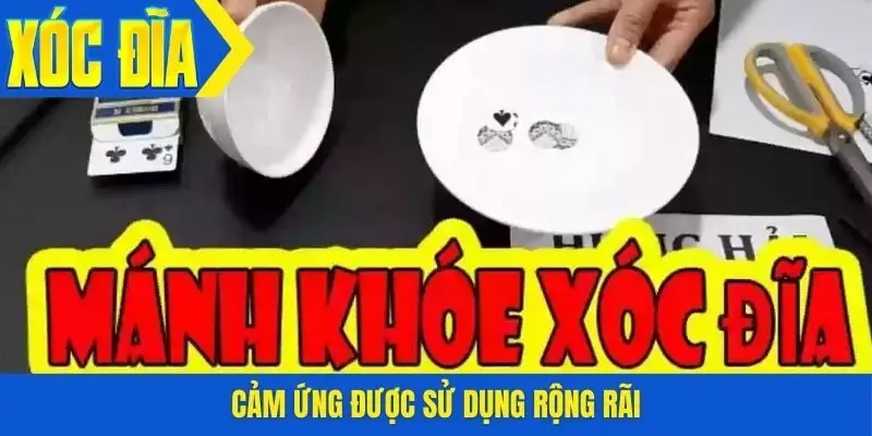 Cảm ứng được sử dụng rộng rãi